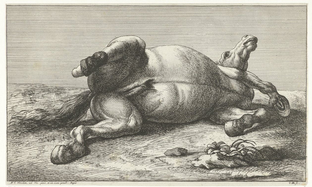Gesneuveld paard liggend op de linkerzij door Jan van Huchtenburg