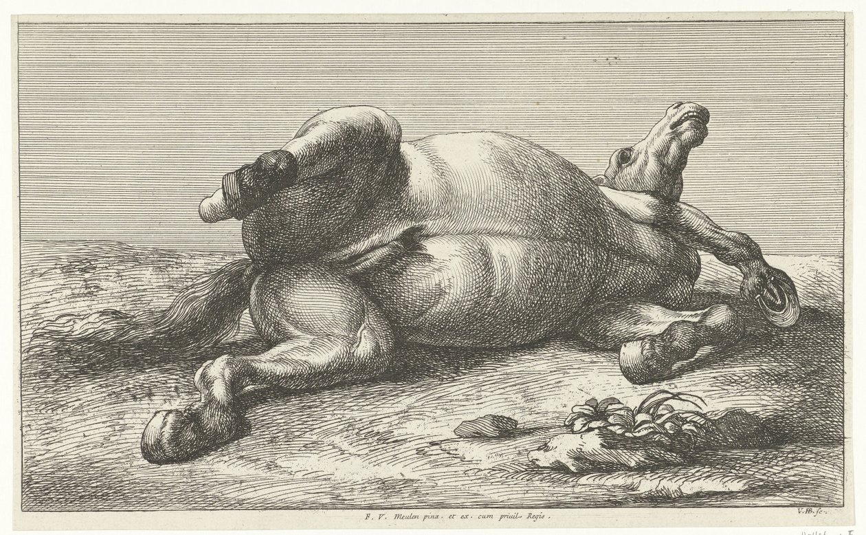 Gesneuveld paard liggend op de linkerzij door Jan van Huchtenburg