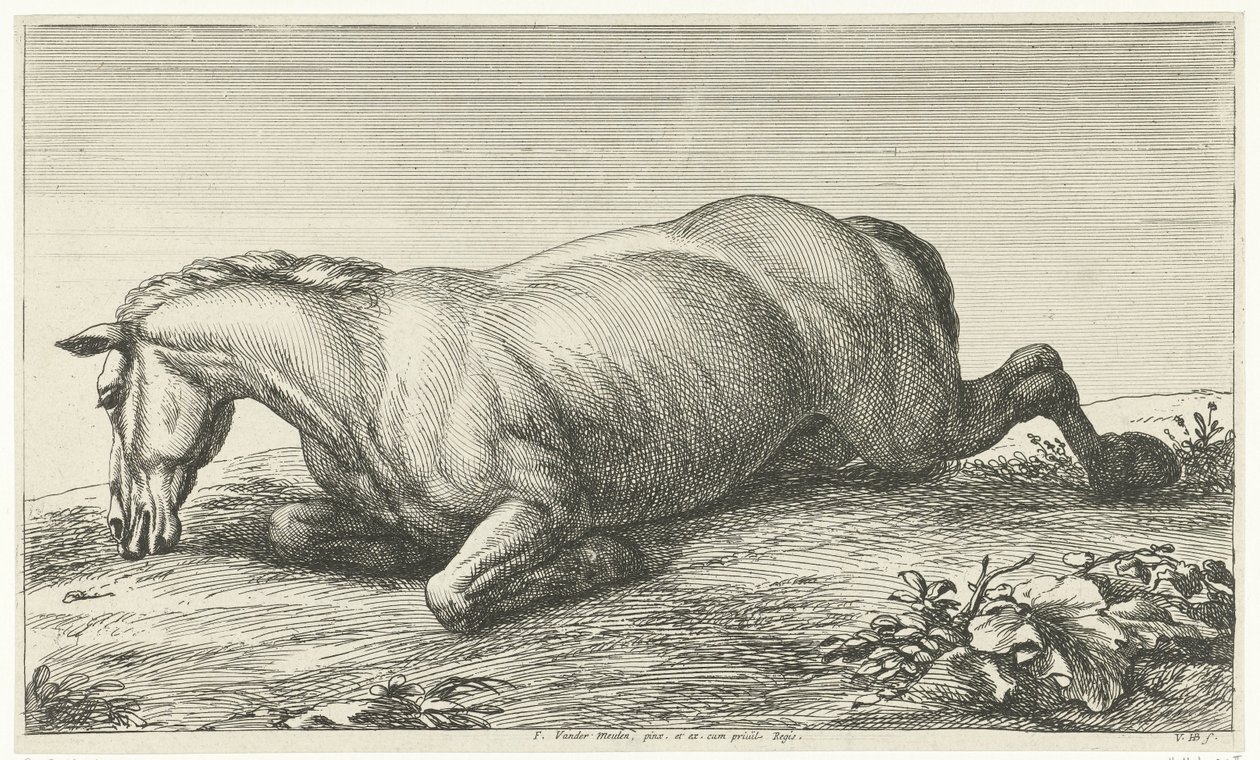 Gesneuveld paard op de buik liggend door Jan van Huchtenburg
