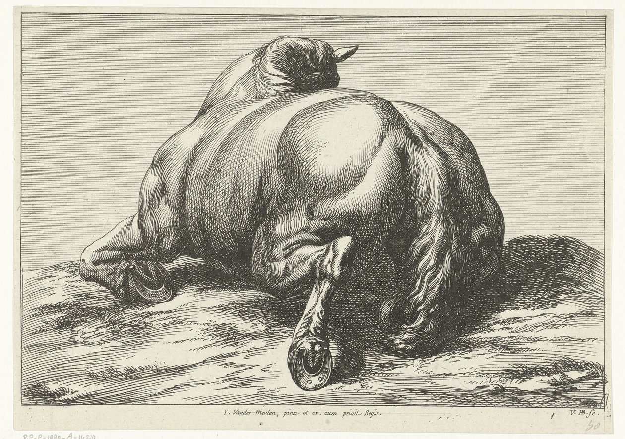 Gesneuveld paard op de buik van achter gezien door Jan van Huchtenburg