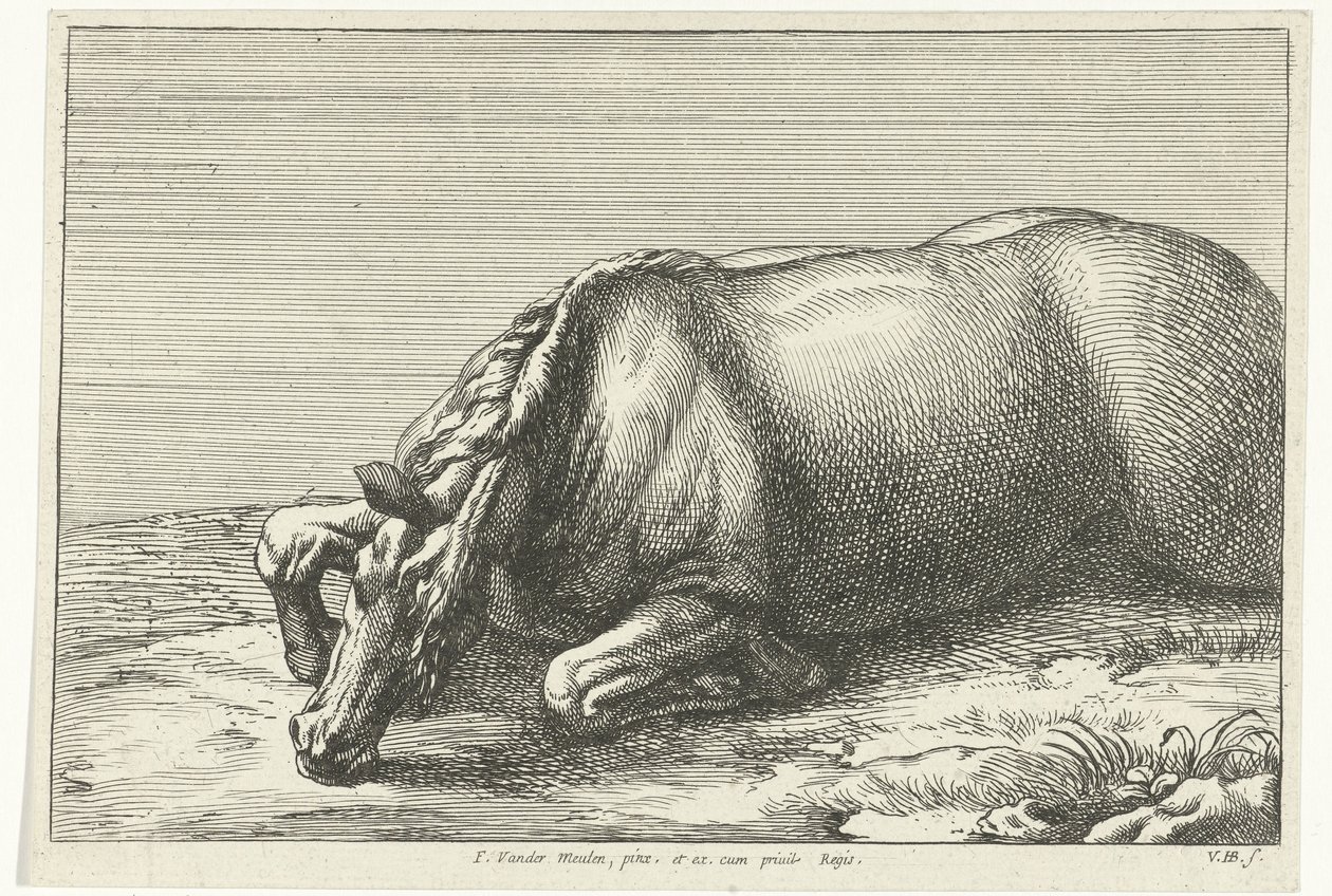 Gesneuveld paard op de linkerzij gezien door Jan van Huchtenburg