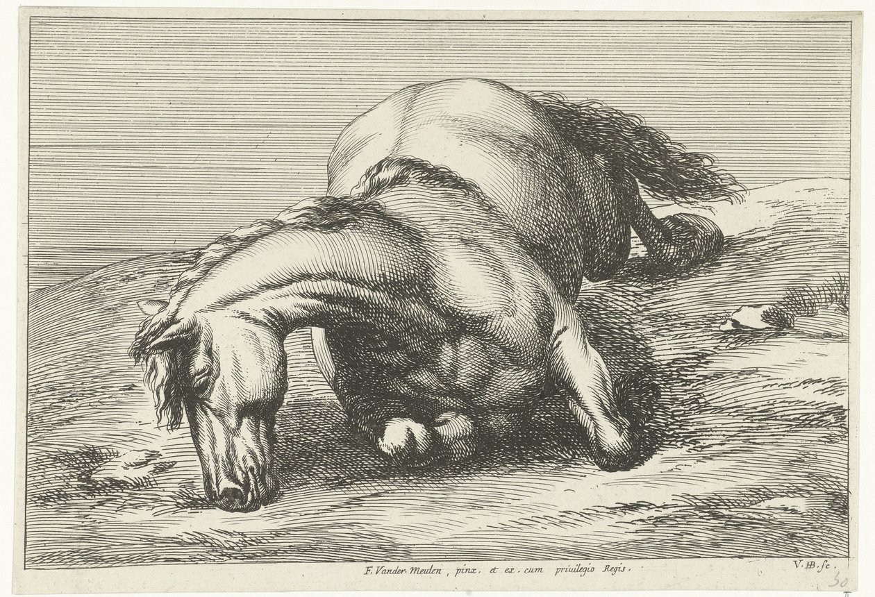 Gesneuveld paard op de rechterzij liggend door Jan van Huchtenburg