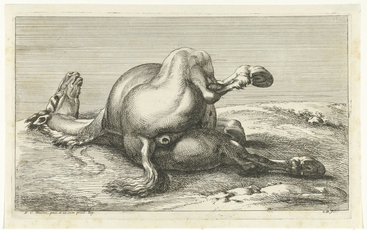 Gesneuveld paard van achter gezien door Jan van Huchtenburg