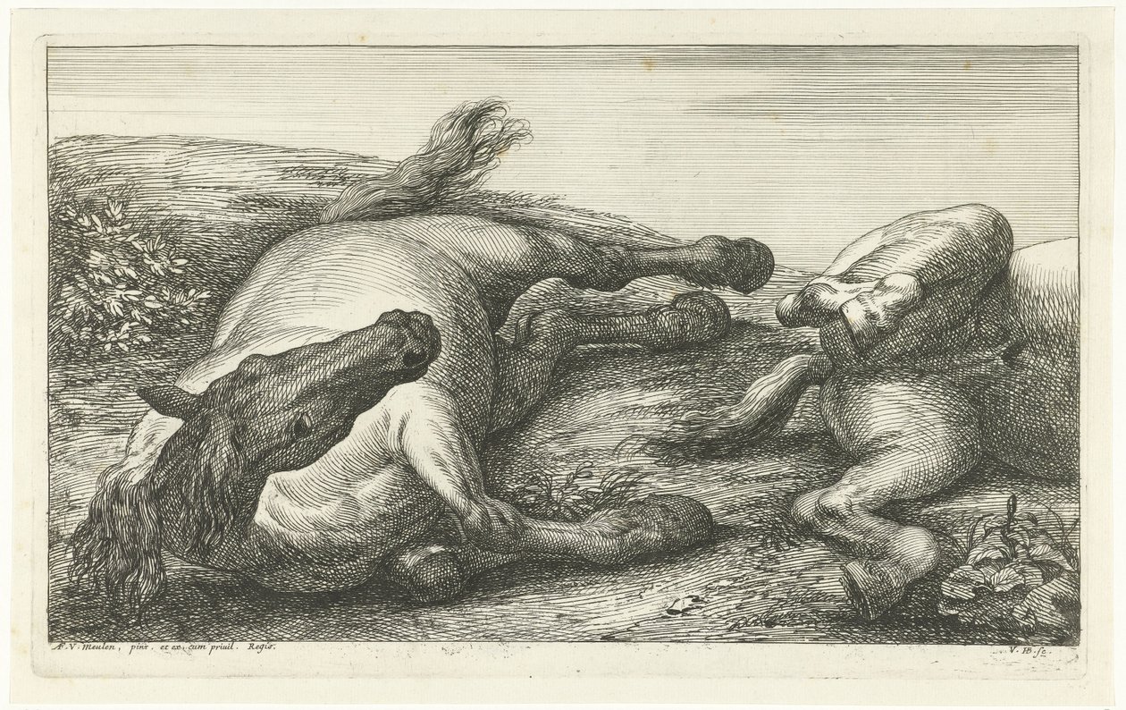 Twee gesneuvelde paarden waarvan de linker van voren gezien door Jan van Huchtenburg