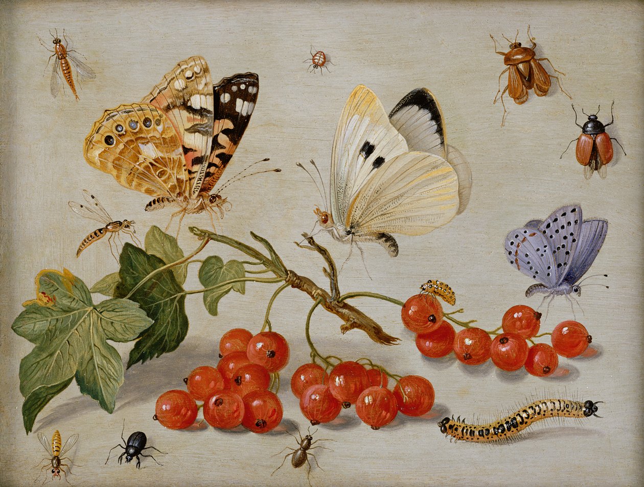 Een stilleven met takje rode bessen, vlinders, kevers, rups en insecten door Jan van Kessel the Elder