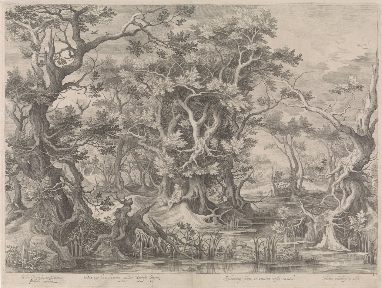 Johannes de Doper biddend in een moeraslandschap door Jan van Londerseel