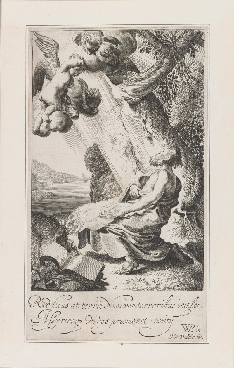Het verhaal van Jona door Jan van de Velde II