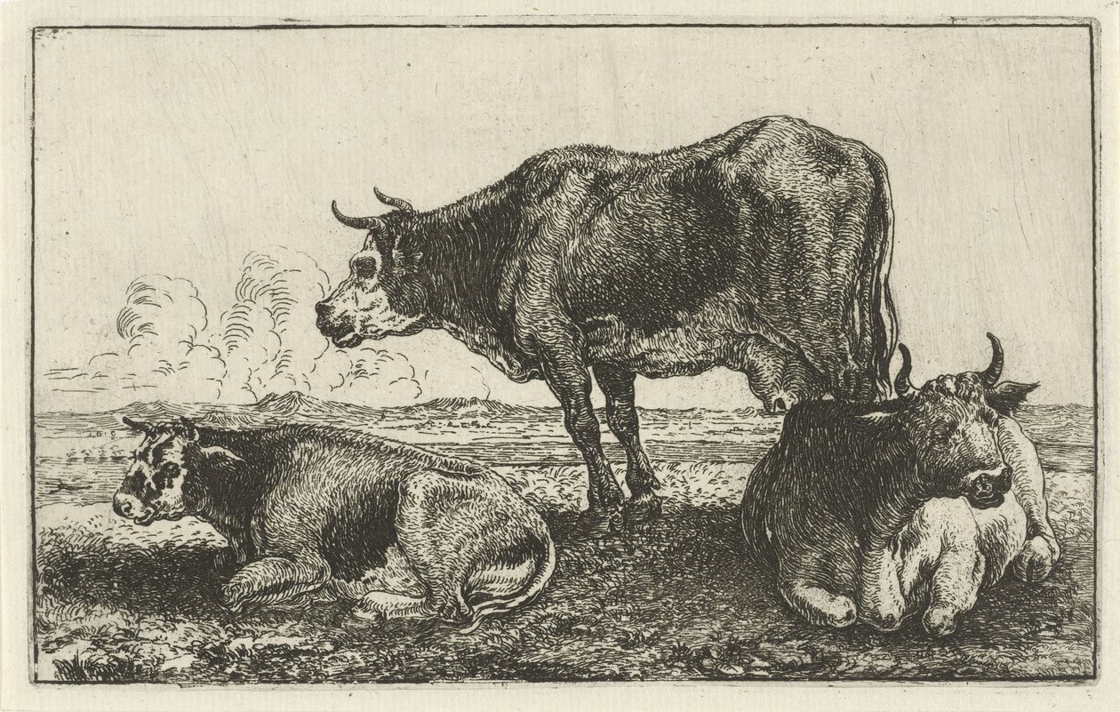 Drie koeien door Jan van den Hecke