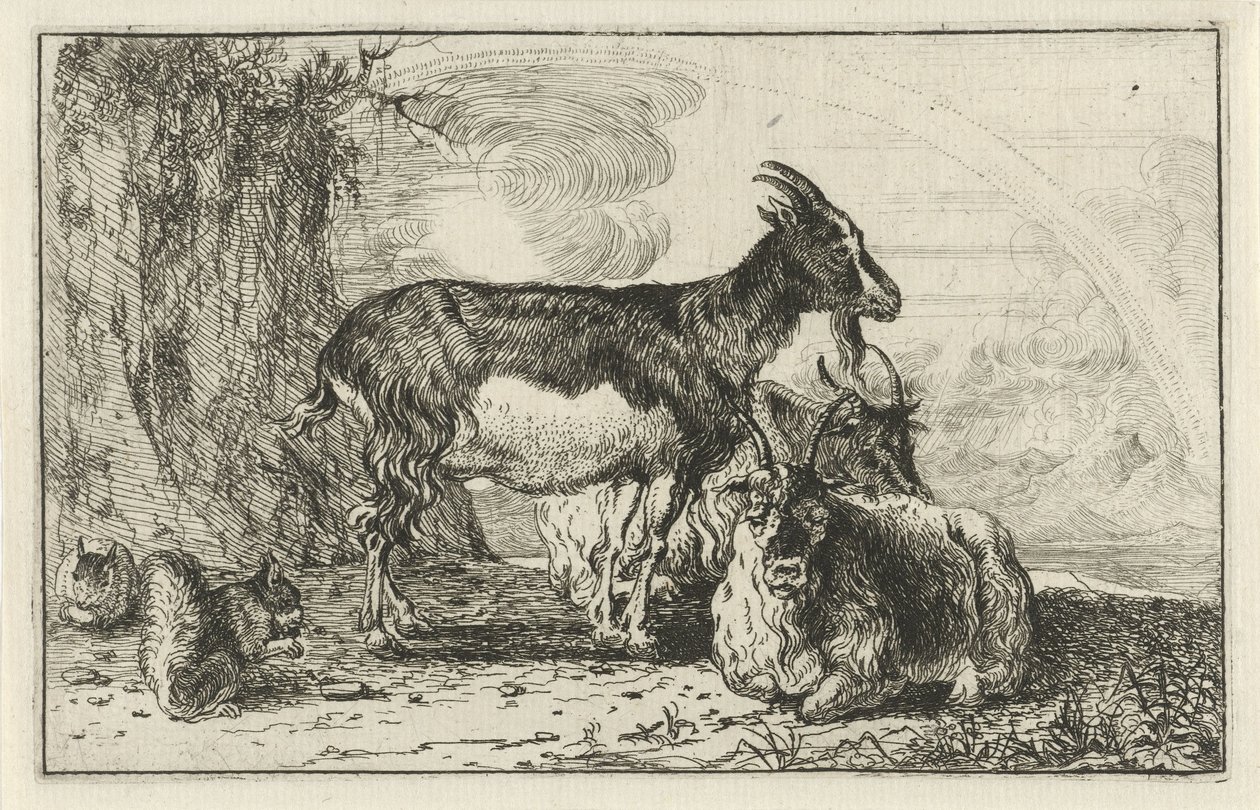 Geiten Dieren door Jan van den Hecke