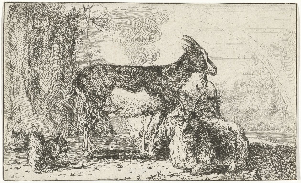 Geiten door Jan van den Hecke