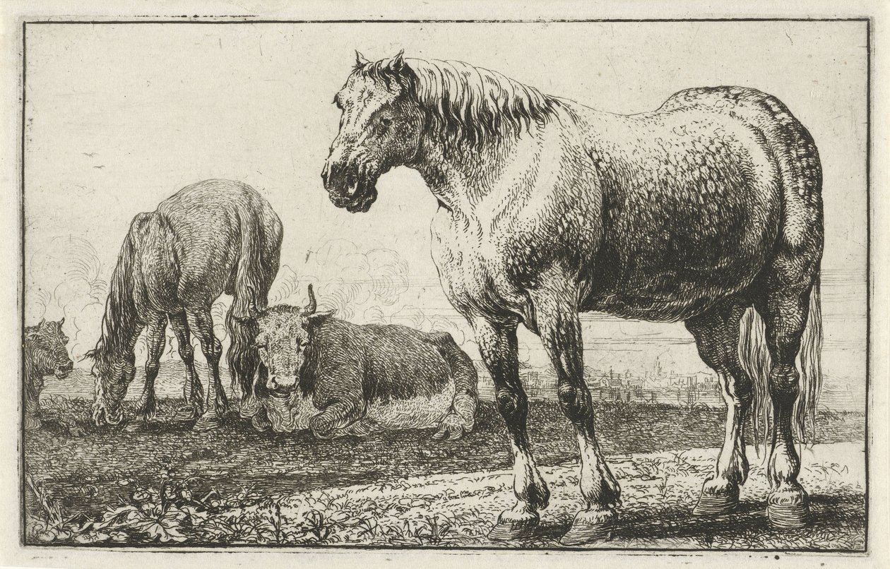 Paarden en koeien door Jan van den Hecke
