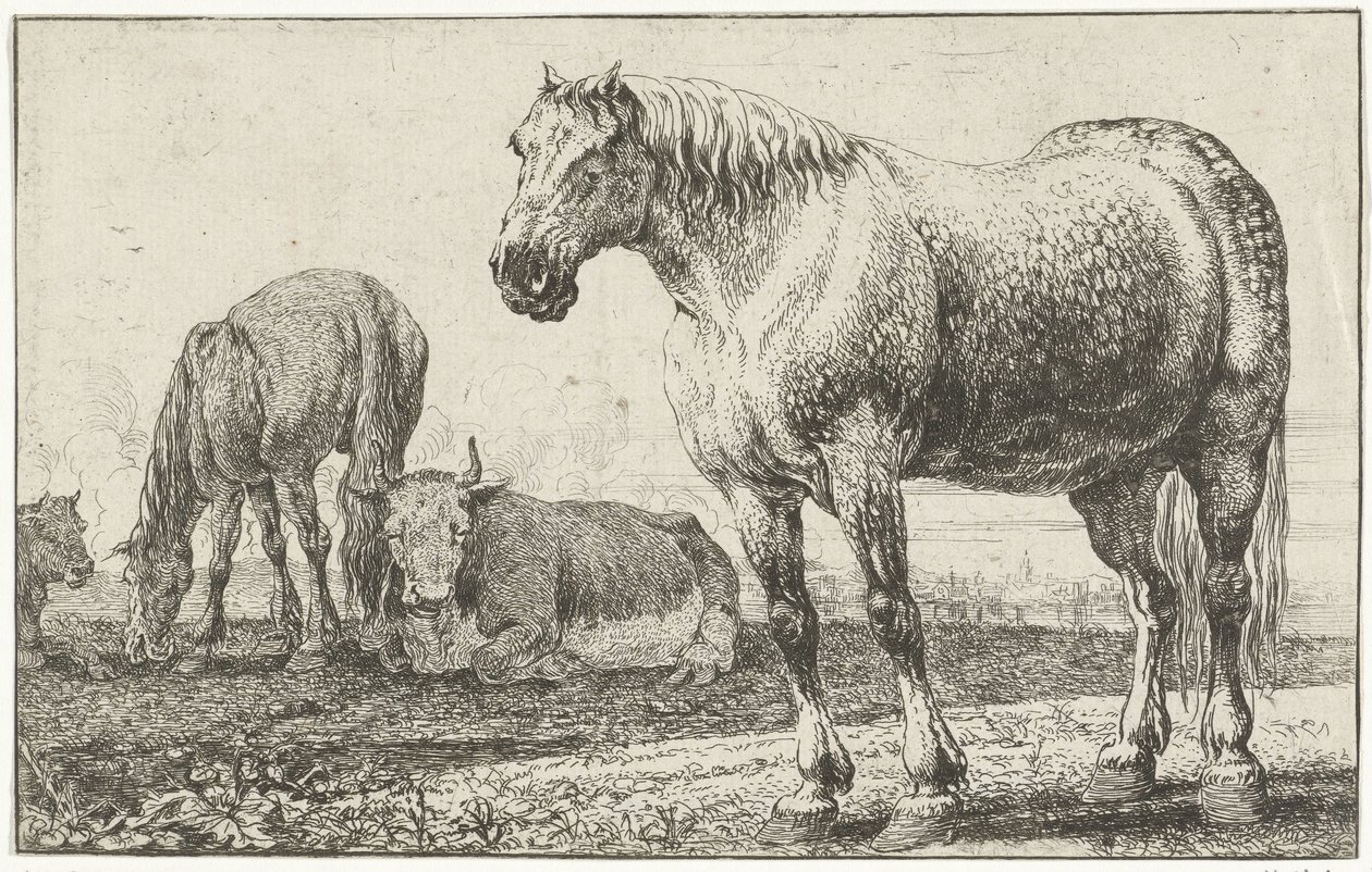 Paarden en koeien door Jan van den Hecke