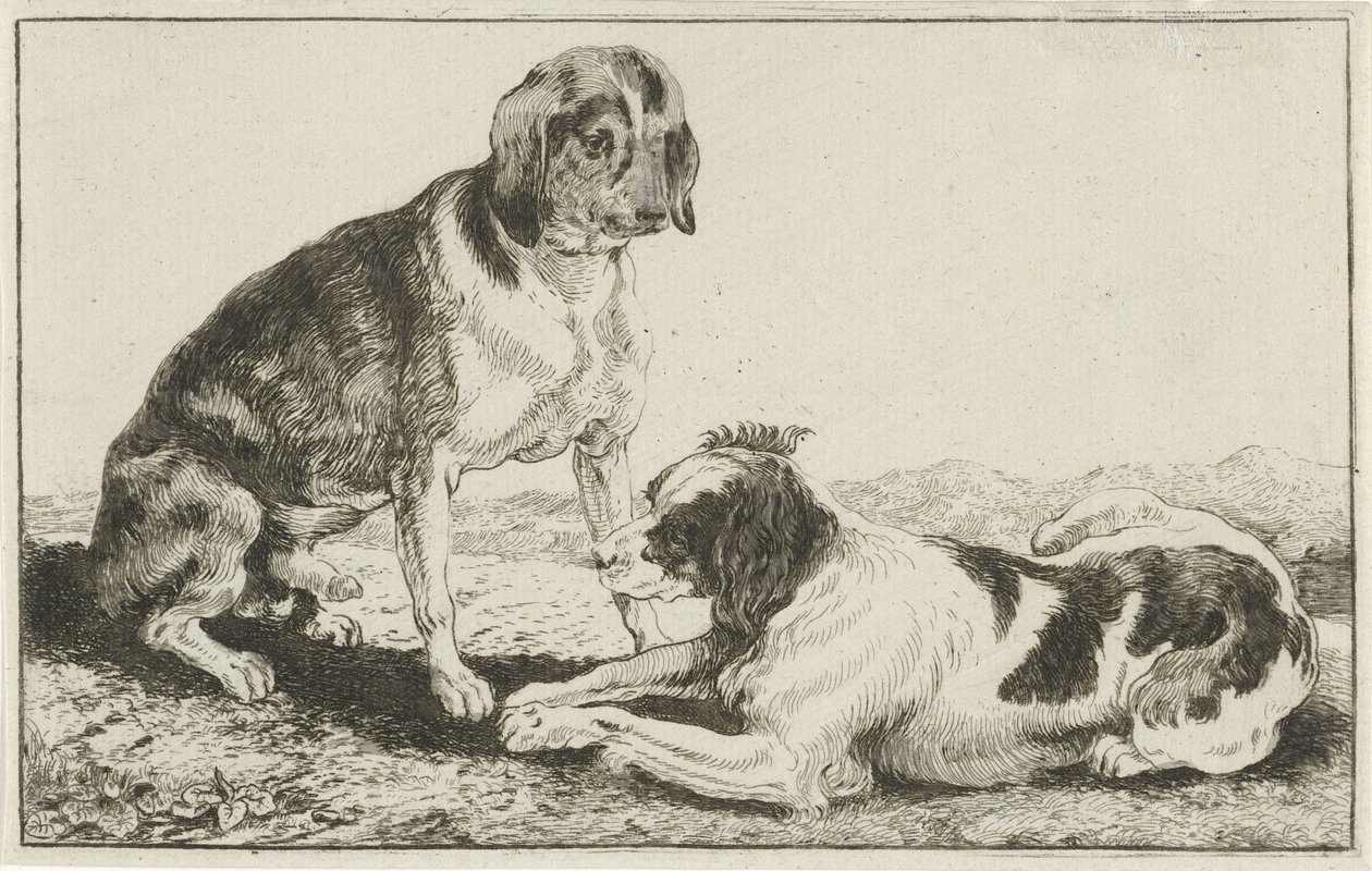 Twee rustende honden door Jan van den Hecke