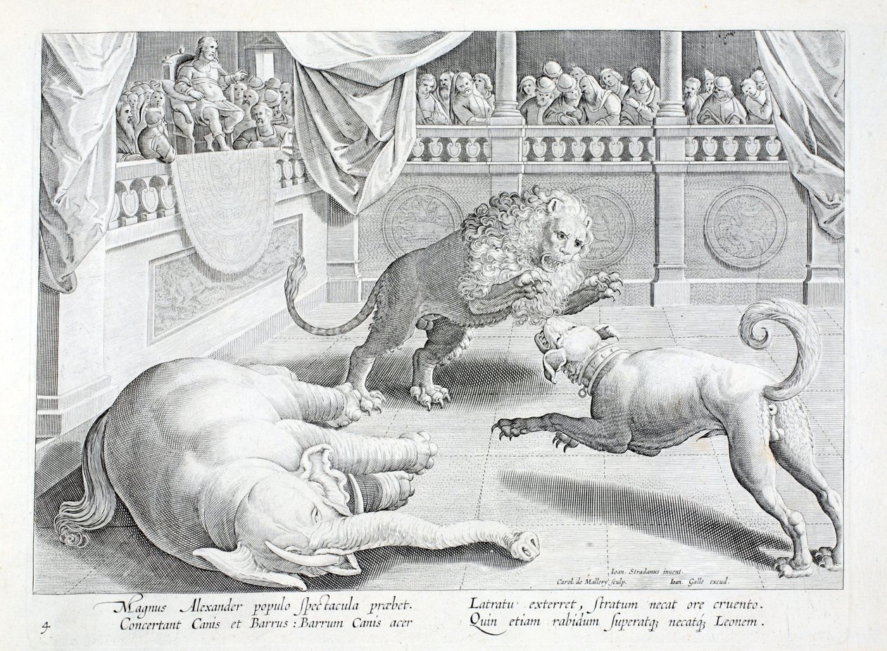 Alexander de Grote geeft een spektakel, een leeuw, hond en olifant vechten, illustratie uit 
