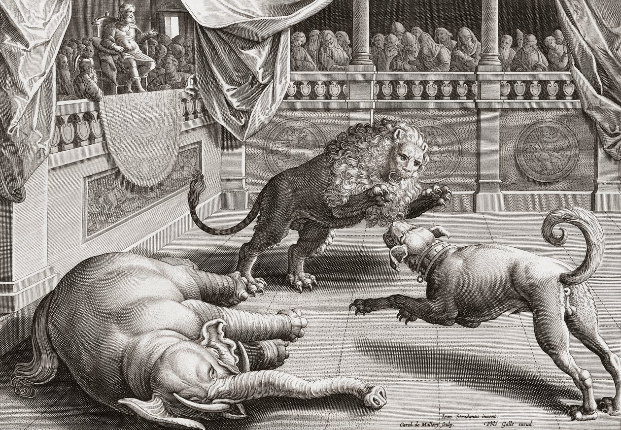 Alexander de Grote kijkt naar vechtende dieren, 16e eeuw door Jan van der 1523 1605 after Straet