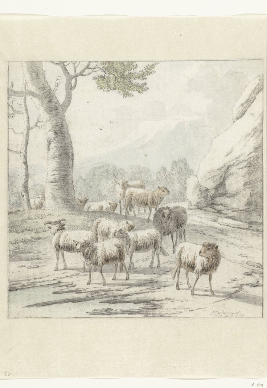 Landschap met een kudde schapen bij een boom door Jan van der Meer (II)