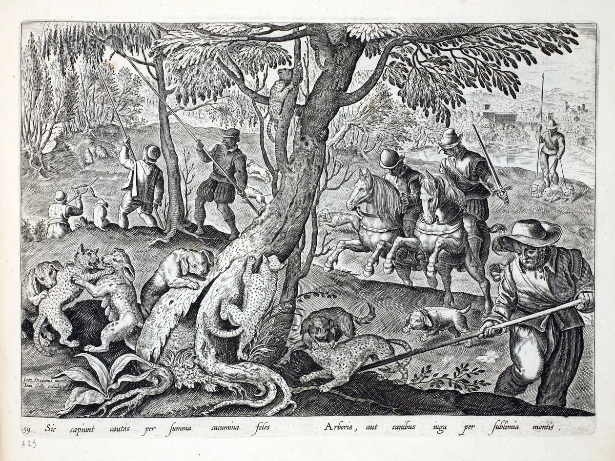 Jacht op katten met honden, illustratie uit 