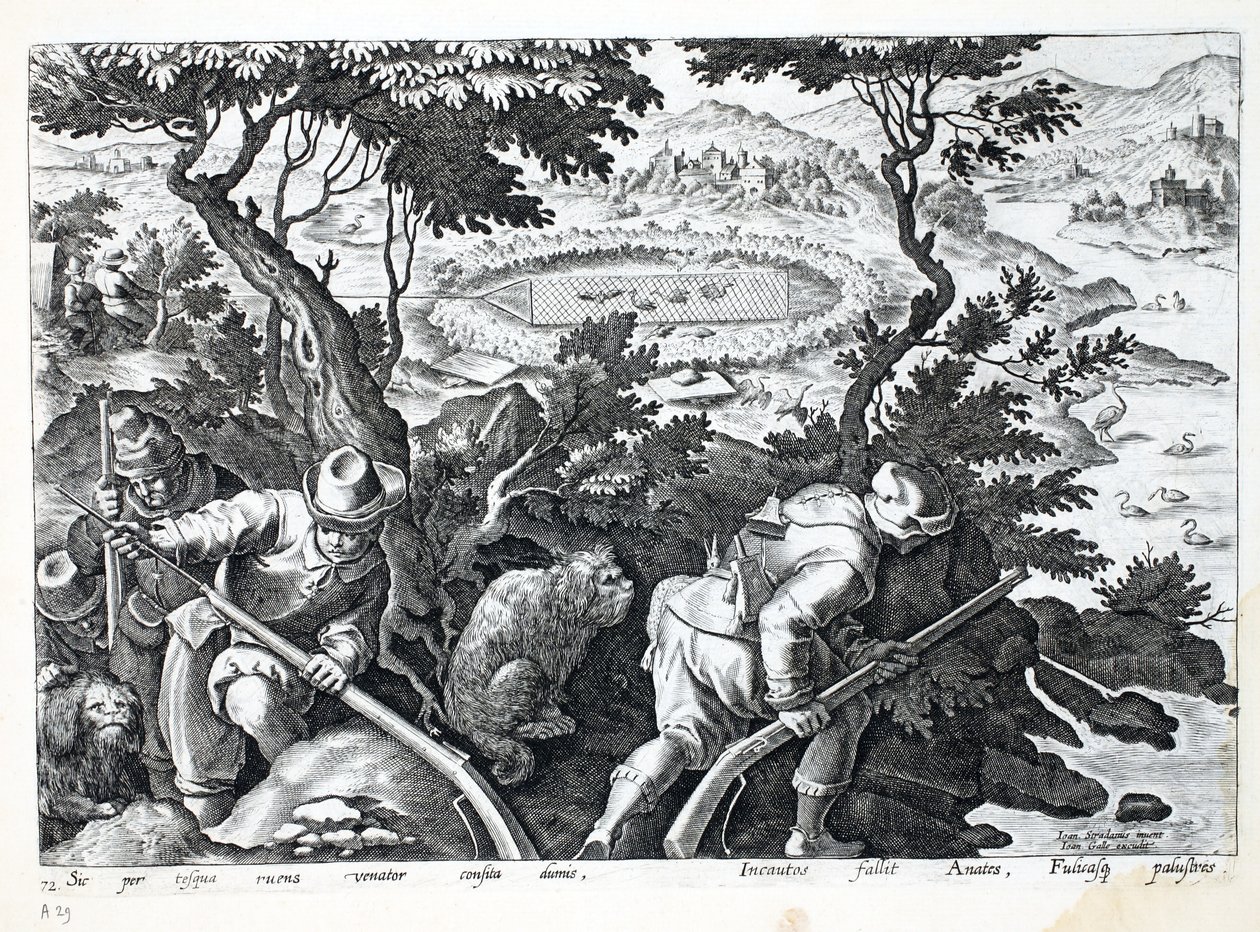 Eendenjacht, illustratie uit 