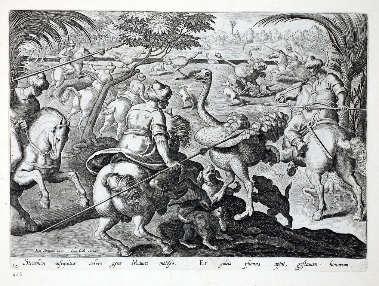 Moren te paard jagen op struisvogels, plaat 62, illustratie uit 