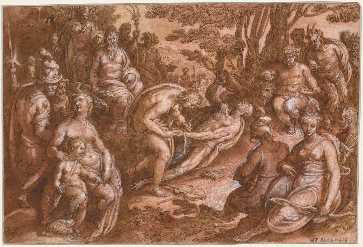 Het villen van Marsyas door Jan van der Straet, called Johannes Stradanus
