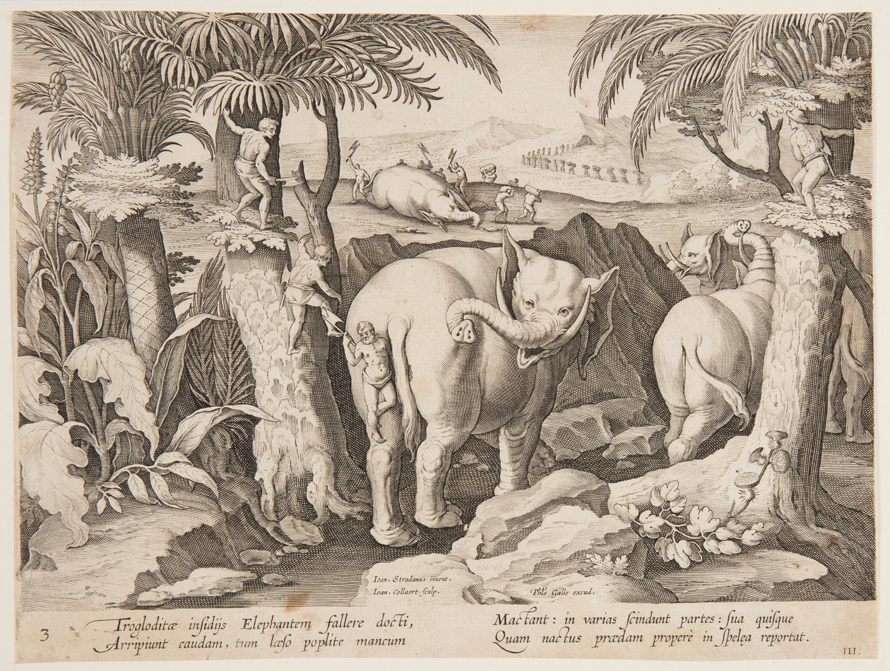 Holbewoners die olifanten achtervolgen, plaat 3 uit de serie Venationes Ferarum, Avium, Piscium door Jan van der Straet, called Stradanus