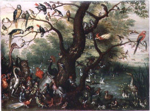 Concert van Vogels door Jan van the Elder Kessel