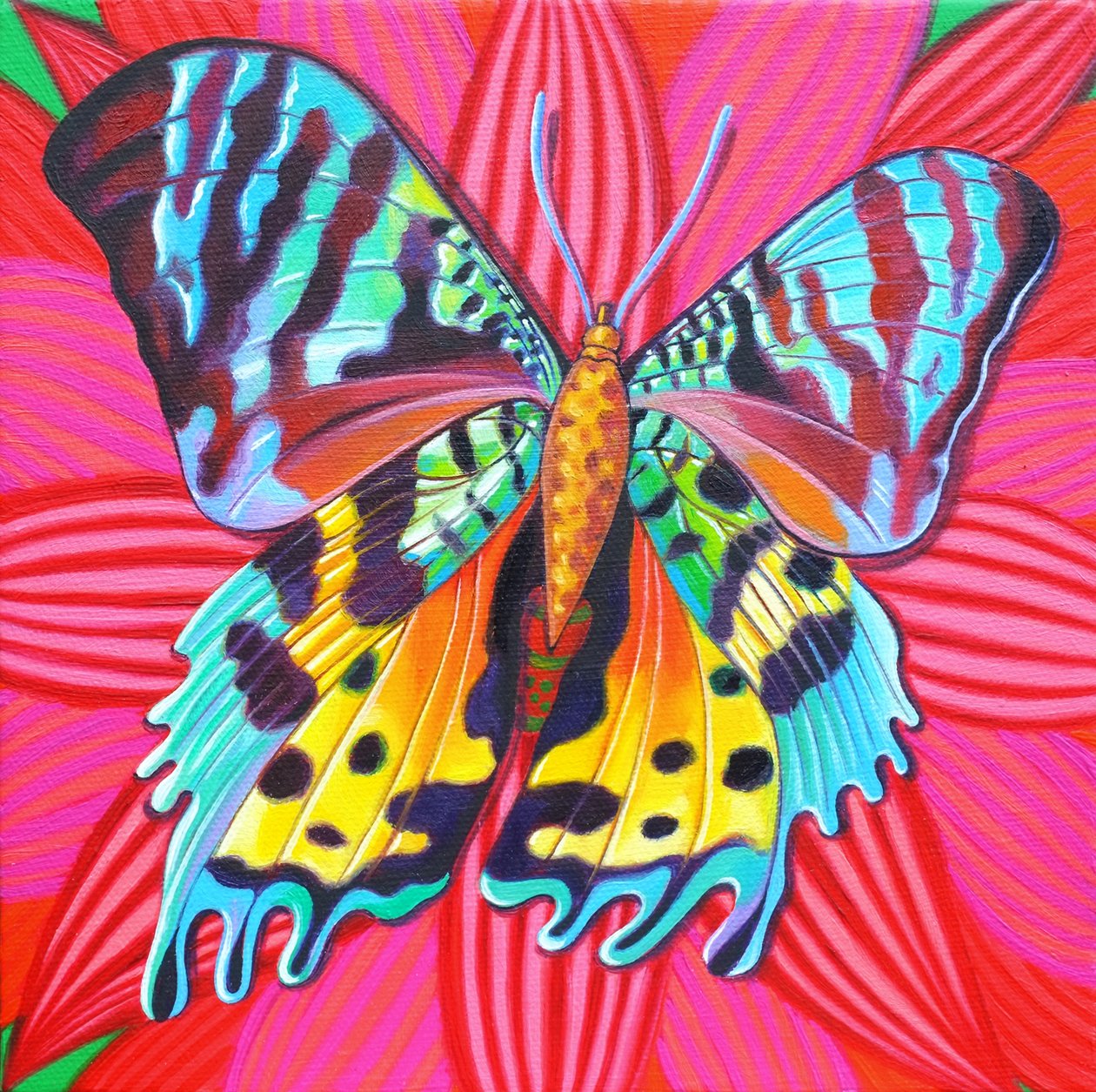 Zonsondergangmot, 2014 door Jane Tattersfield