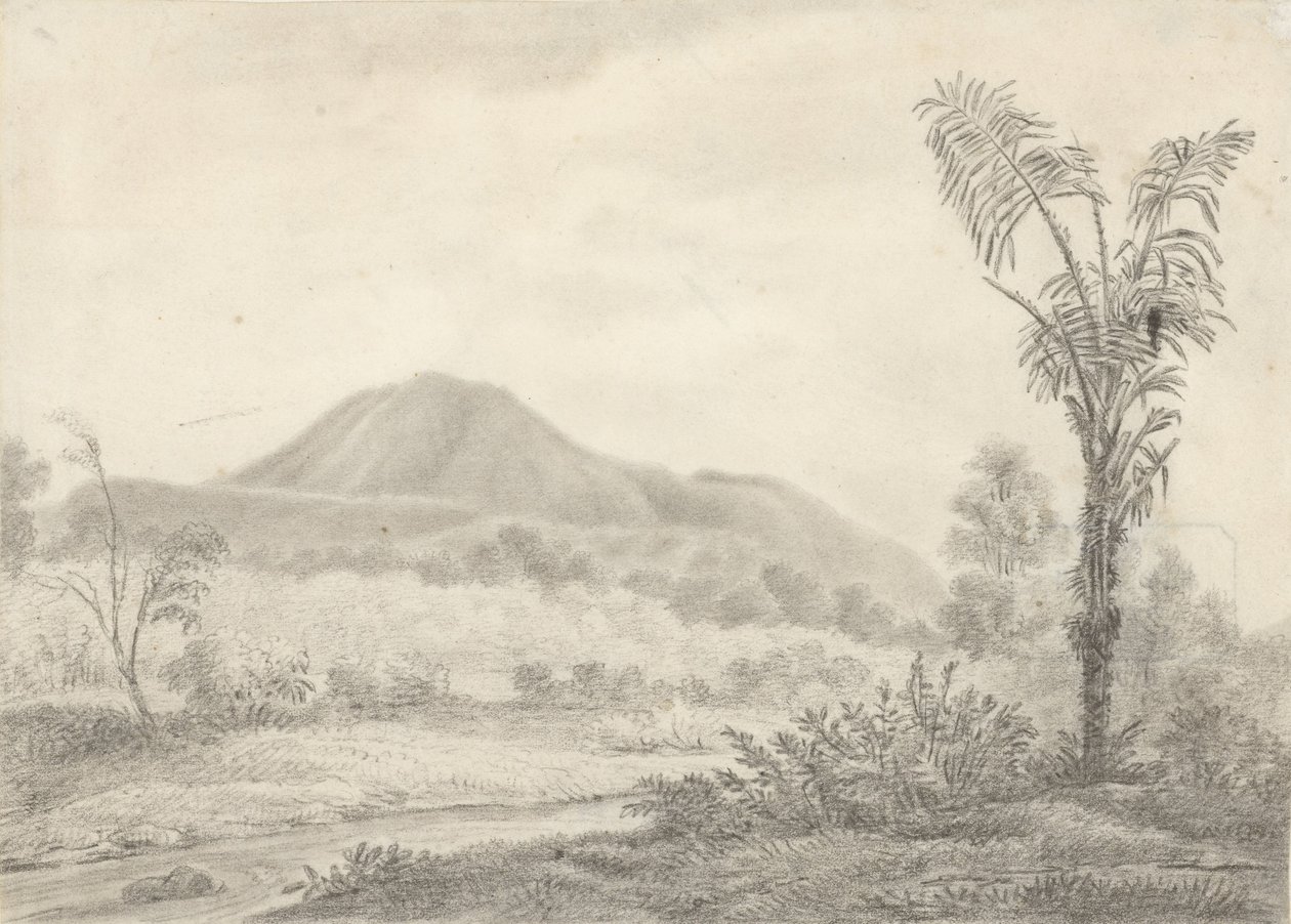 Javaans landschap met berg en palm door Jannes Theodorus Bik