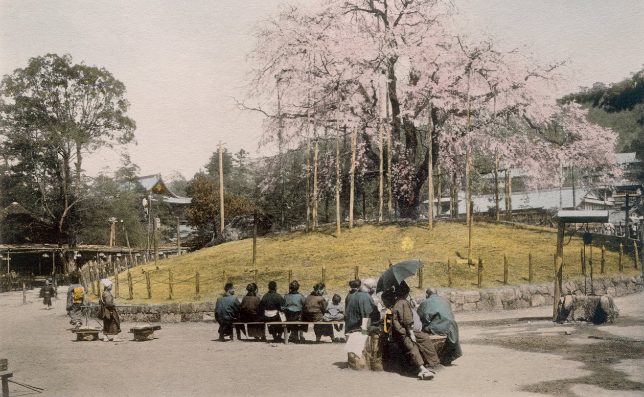 De beroemde kersenboom in Maruyama, Kyoto door Japanese Photographer