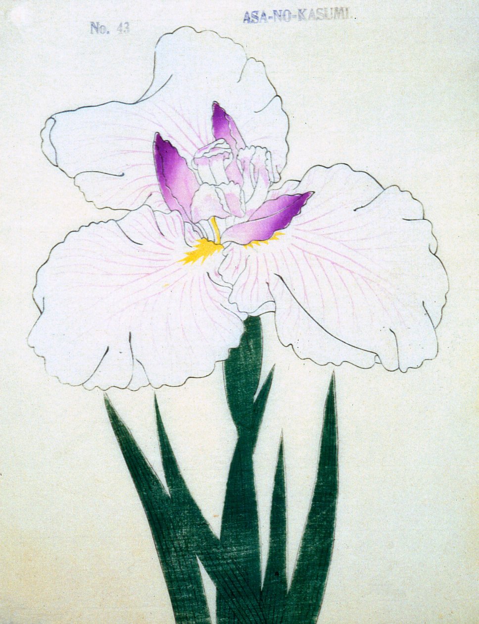 Asa-no.-Kasumi, nr.43, 1898 door Japanese School