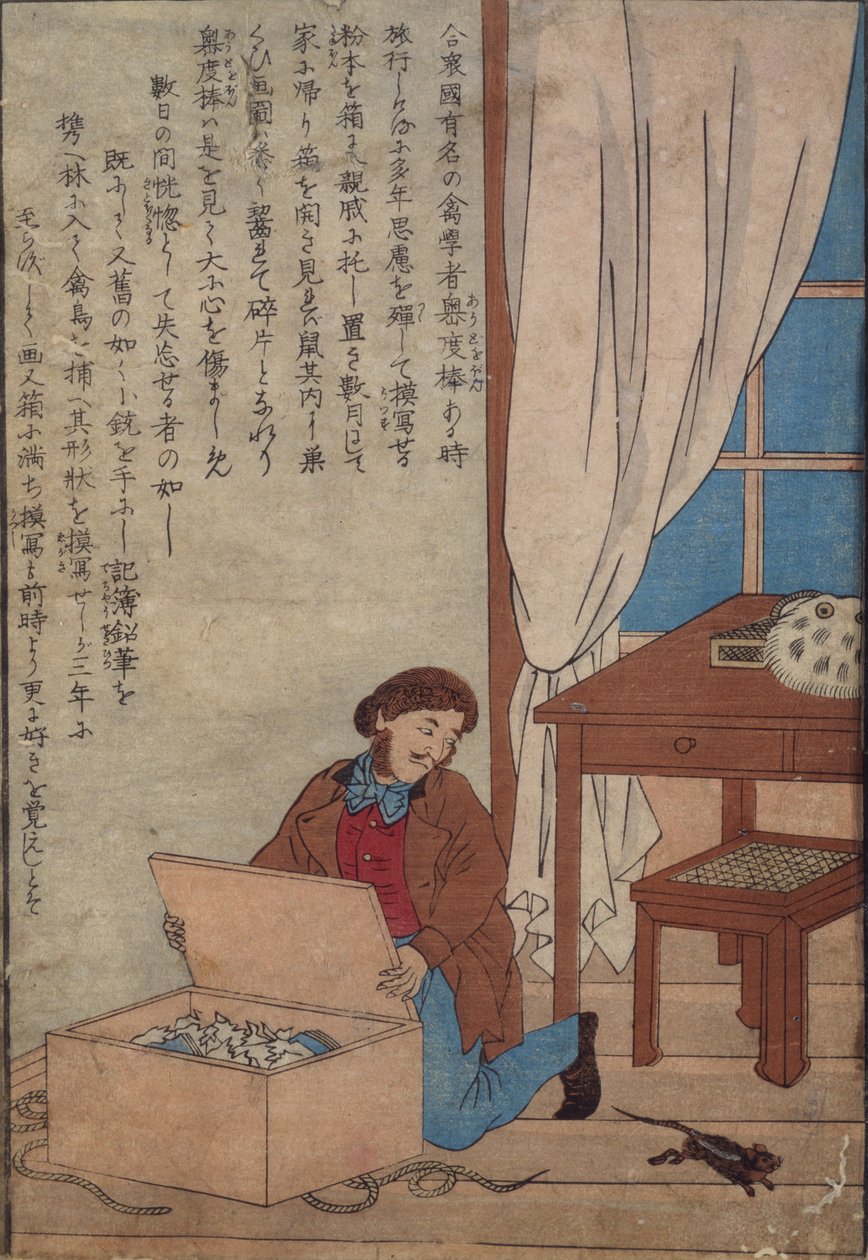 Audubon opent zijn doos met aquarellen vernietigd door Noorse ratten, ca. 1872-77 door Japanese School