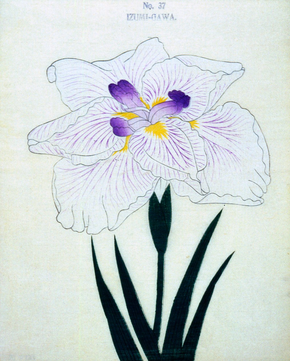 Izumi-Gawa, nr.37, 1898 door Japanese School