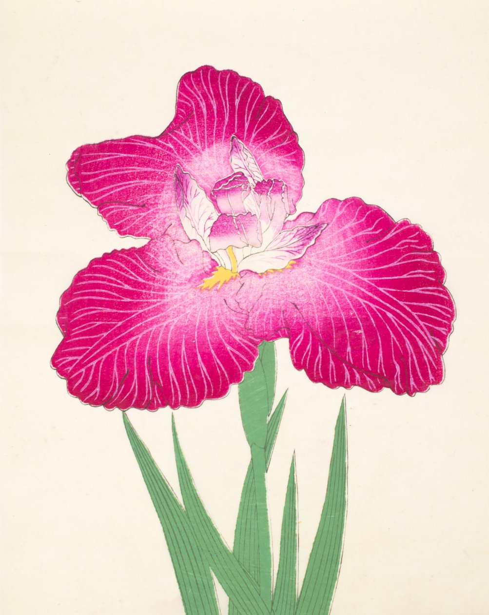 Kyo-Kano.ko, nr.24, 1898 door Japanese School