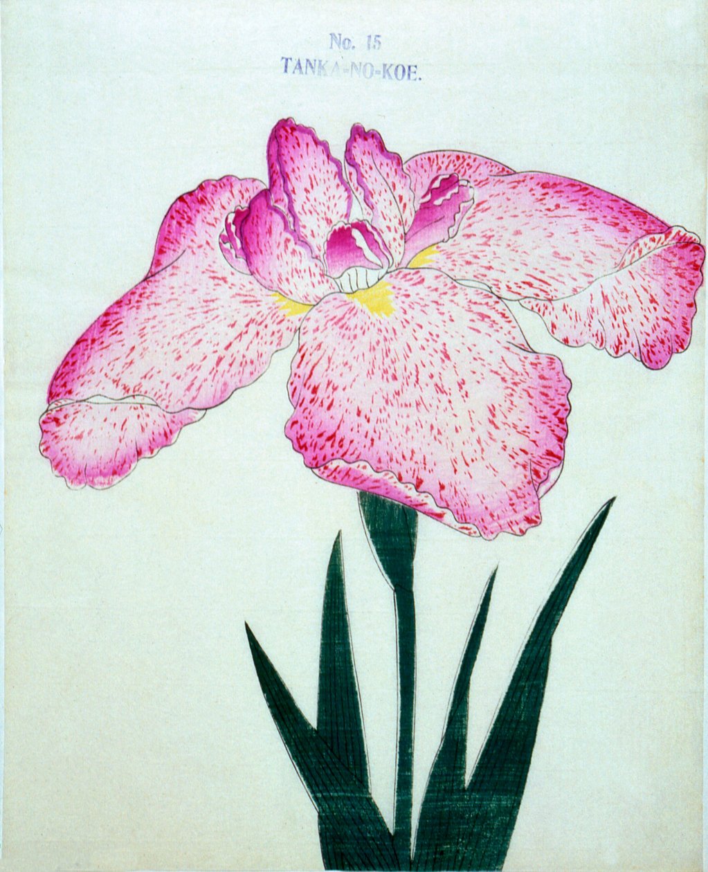 Tanka-no.-Koe, nr.15, 1898 door Japanese School