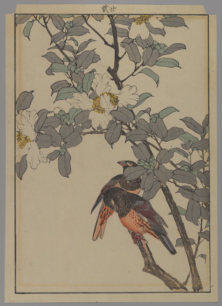 Twee vogels met witte bloemen, Meiji periode, 1892 door Japanese School