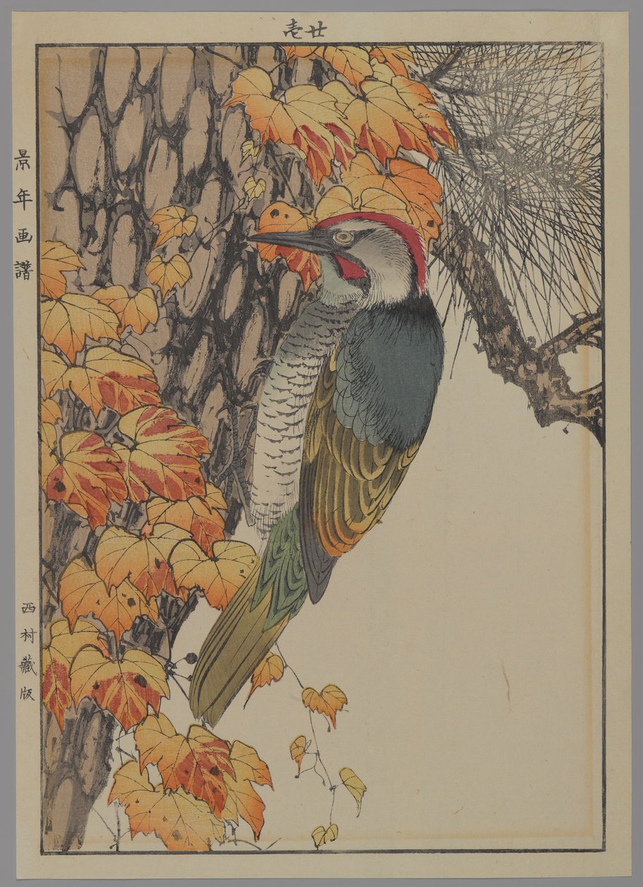 Specht, 1892 door Japanese School
