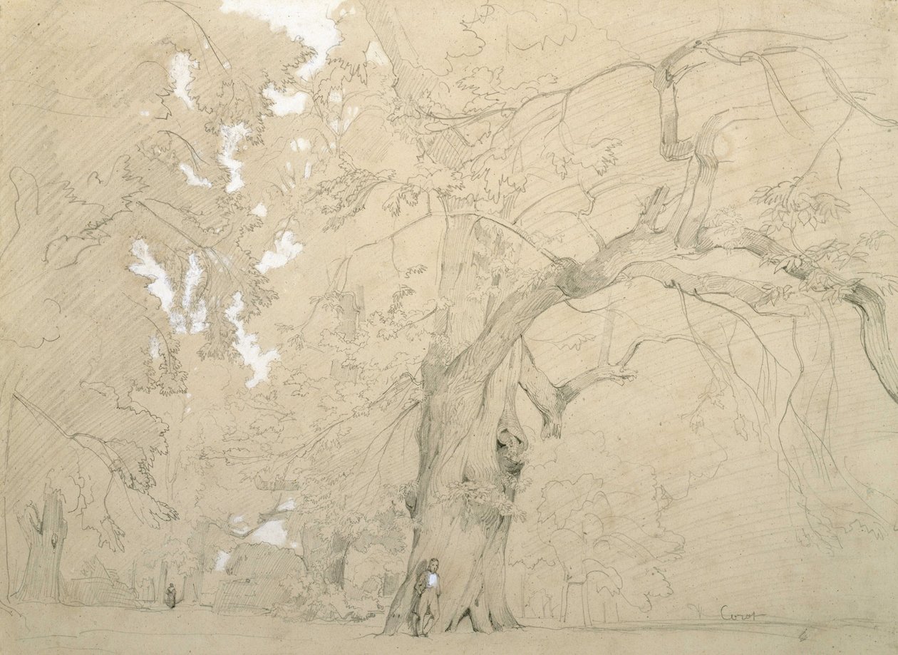 Een jonge man voor een grote eik door Jean Baptiste Camille Corot