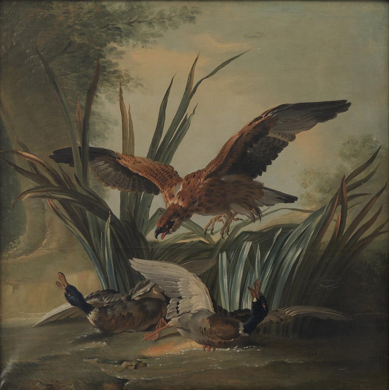 Een havik die op een paar eenden duikt door Jean-Baptiste Oudry