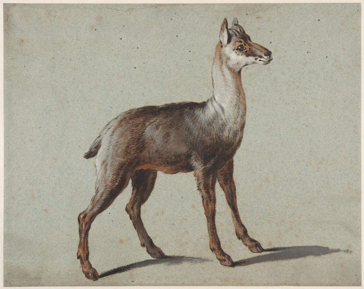 Gems door Jean-Baptiste Oudry