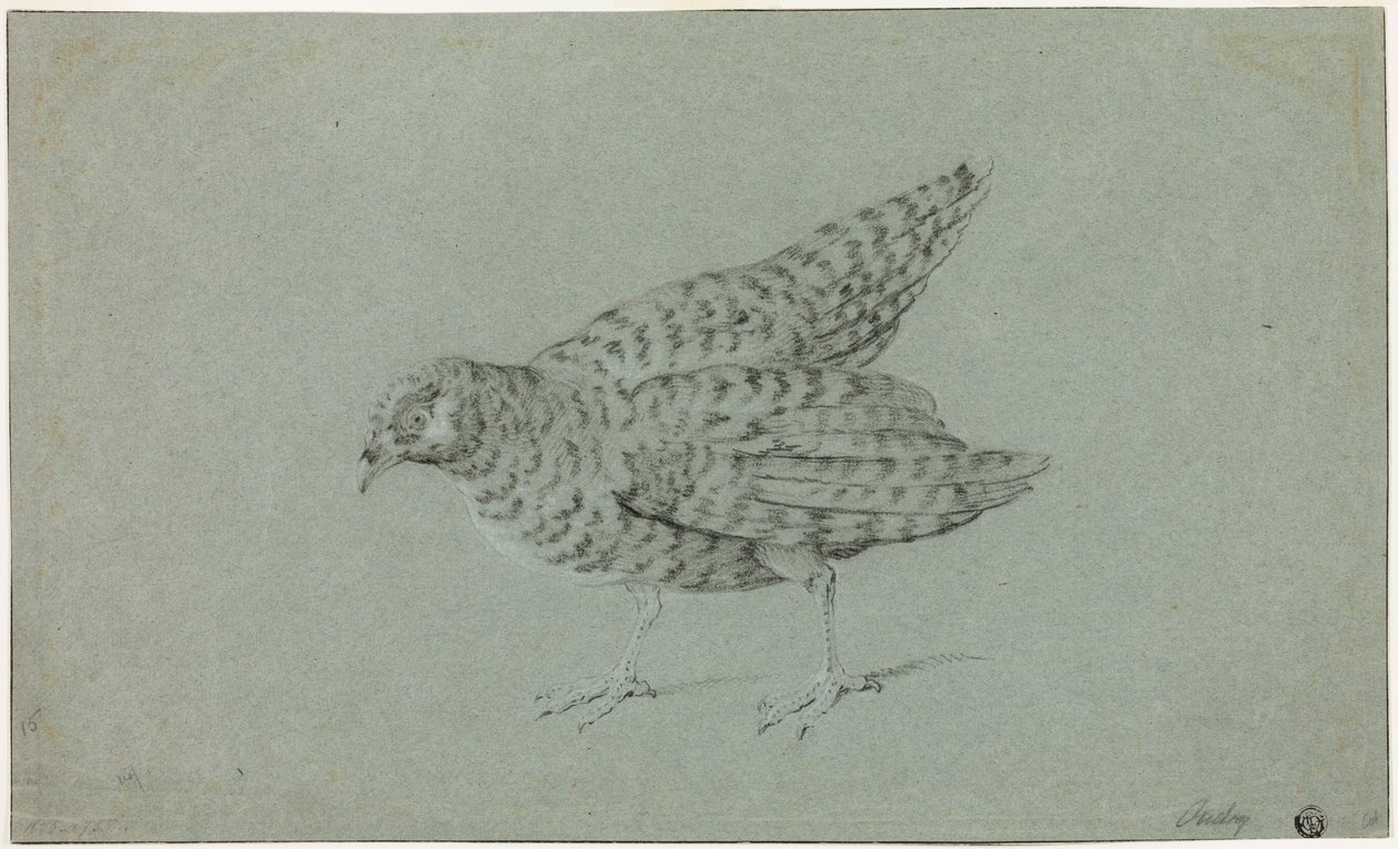 Patrijs door Jean-Baptiste Oudry