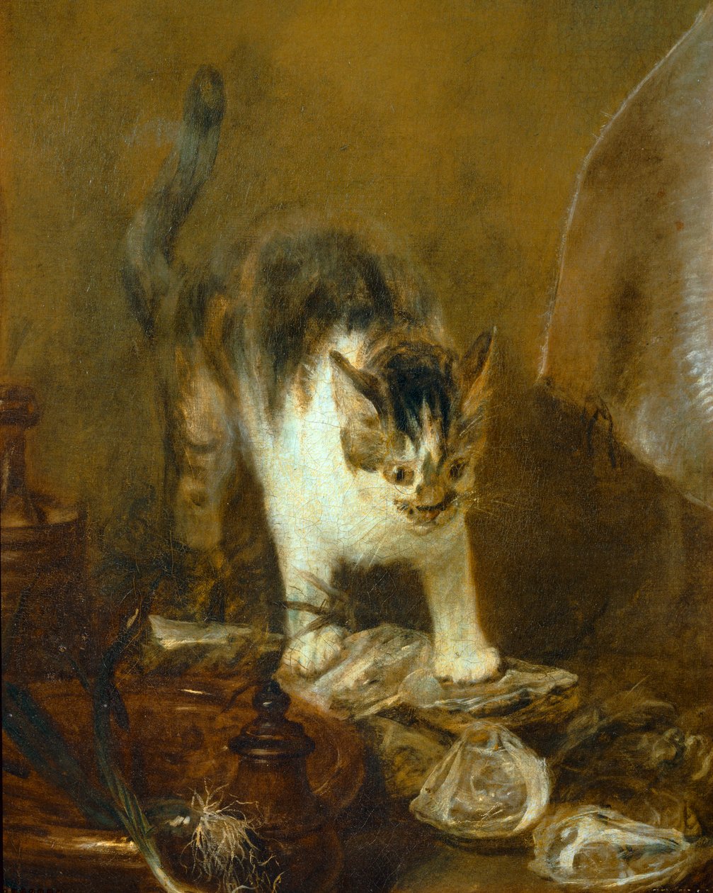 De straal - de straal ... door Jean Baptiste Simeon Chardin