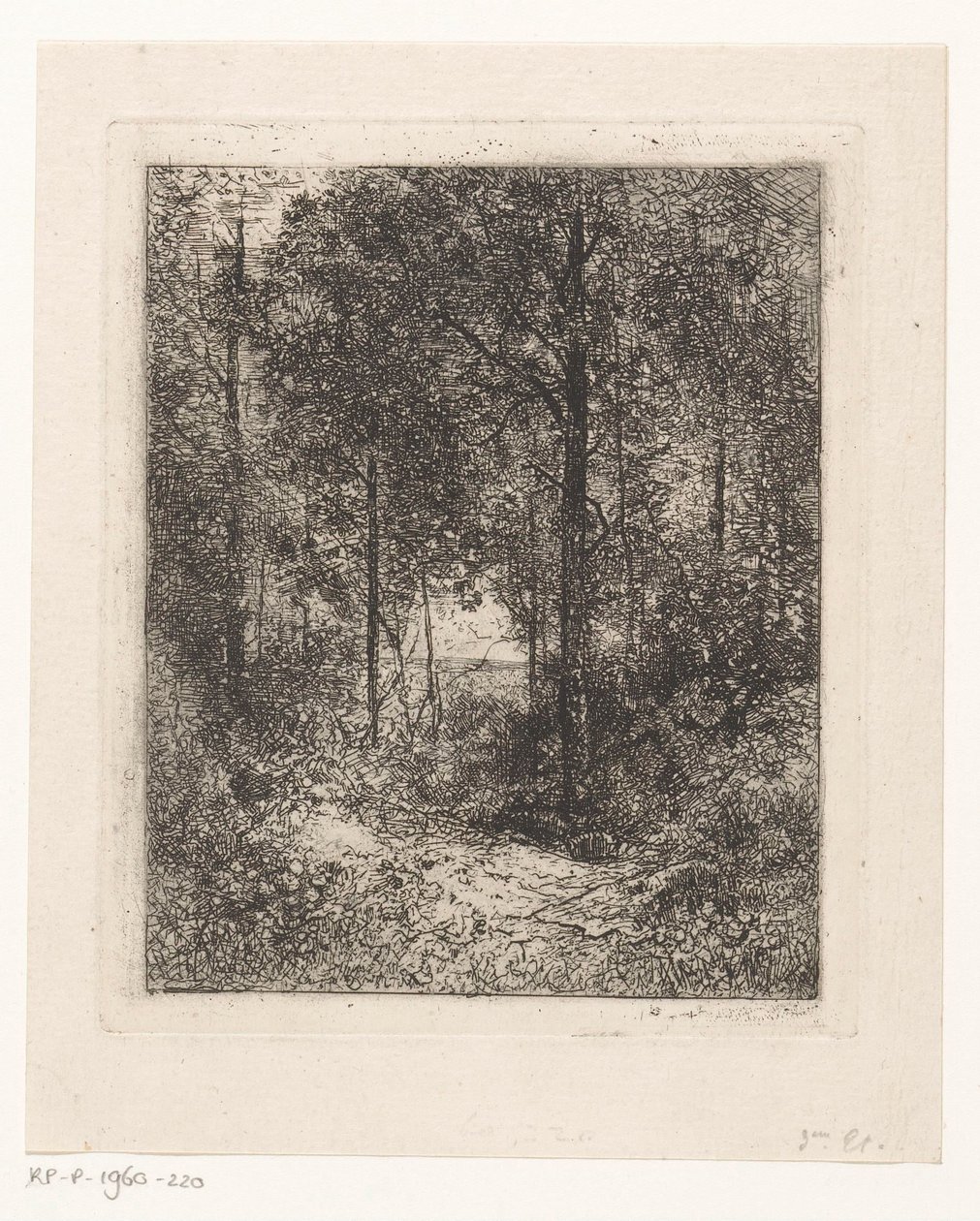 Bosgezicht door Jean Alexis Achard