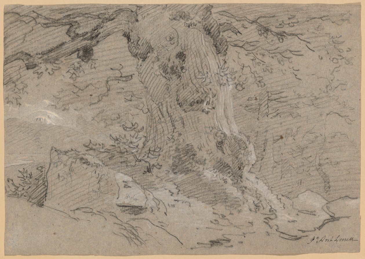 Studie van Oude Boomstam door Jean Antoine Linck