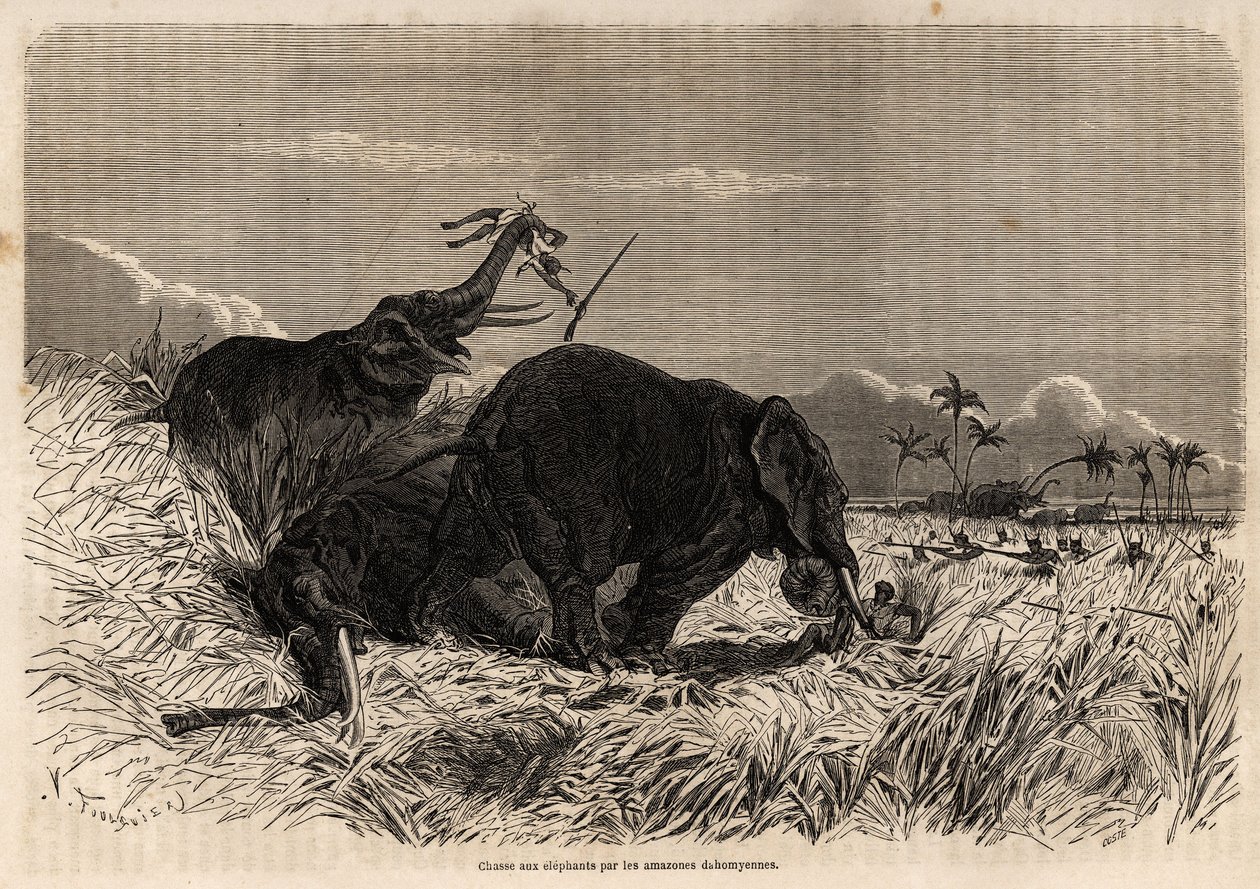 De jacht op olifanten door de Dahomese Amazones door Jean Antoine Valentin Foulquier