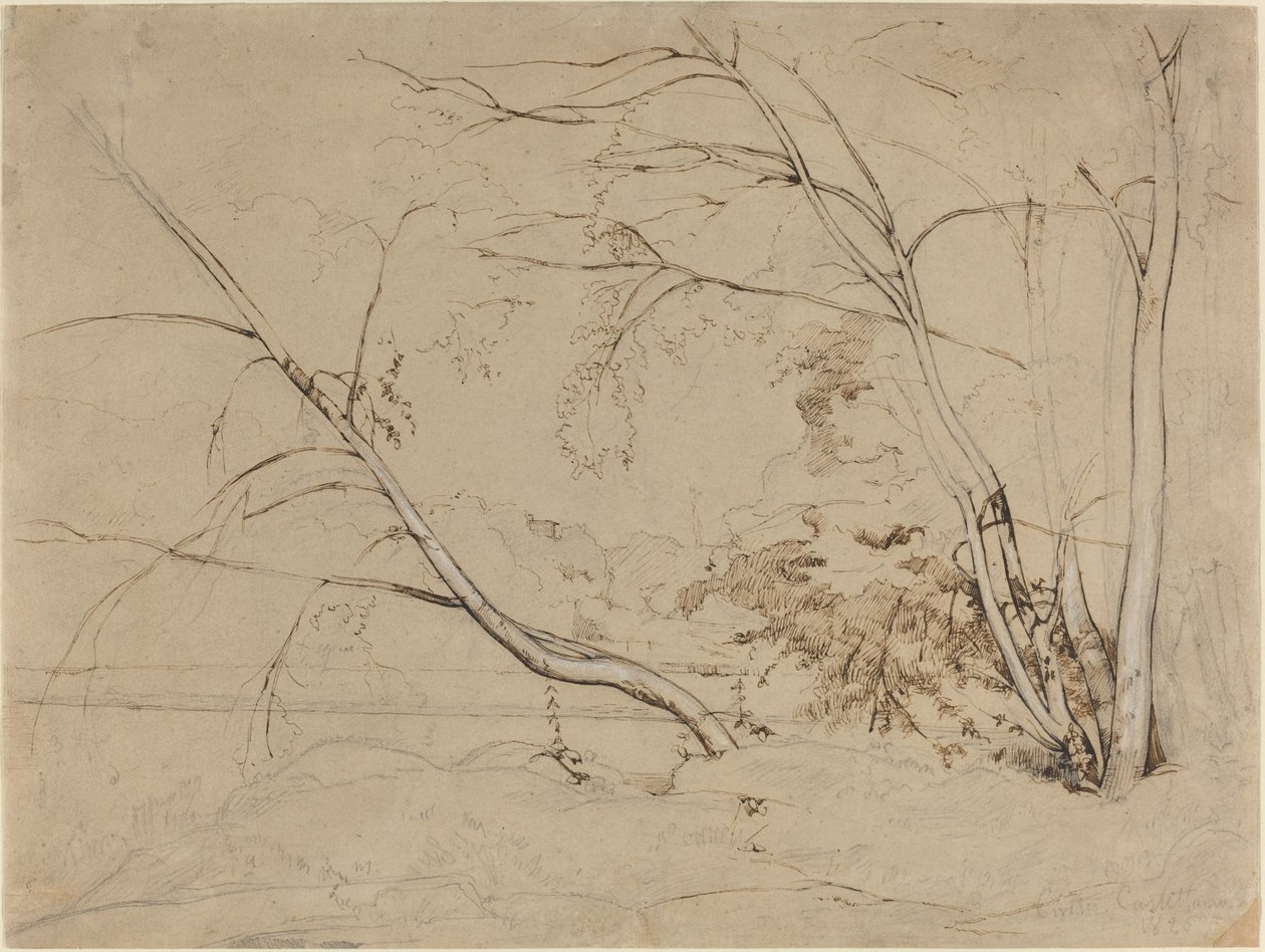 Boomgroep bij Civita Castellana door Jean Baptiste Camille Corot