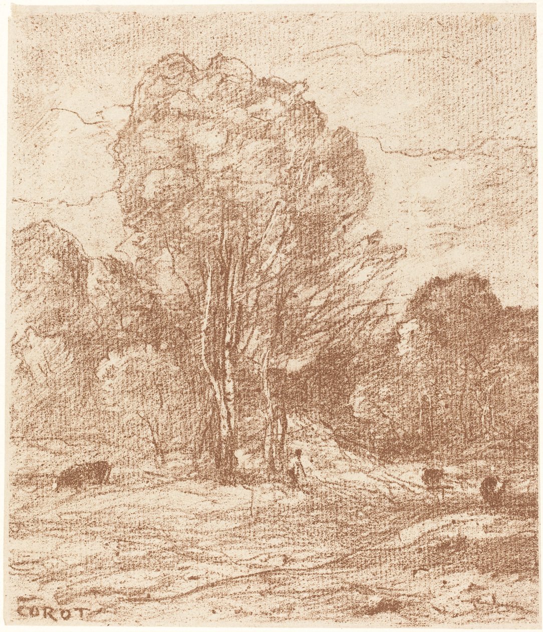Slapende Koeien door Jean-Baptiste-Camille Corot