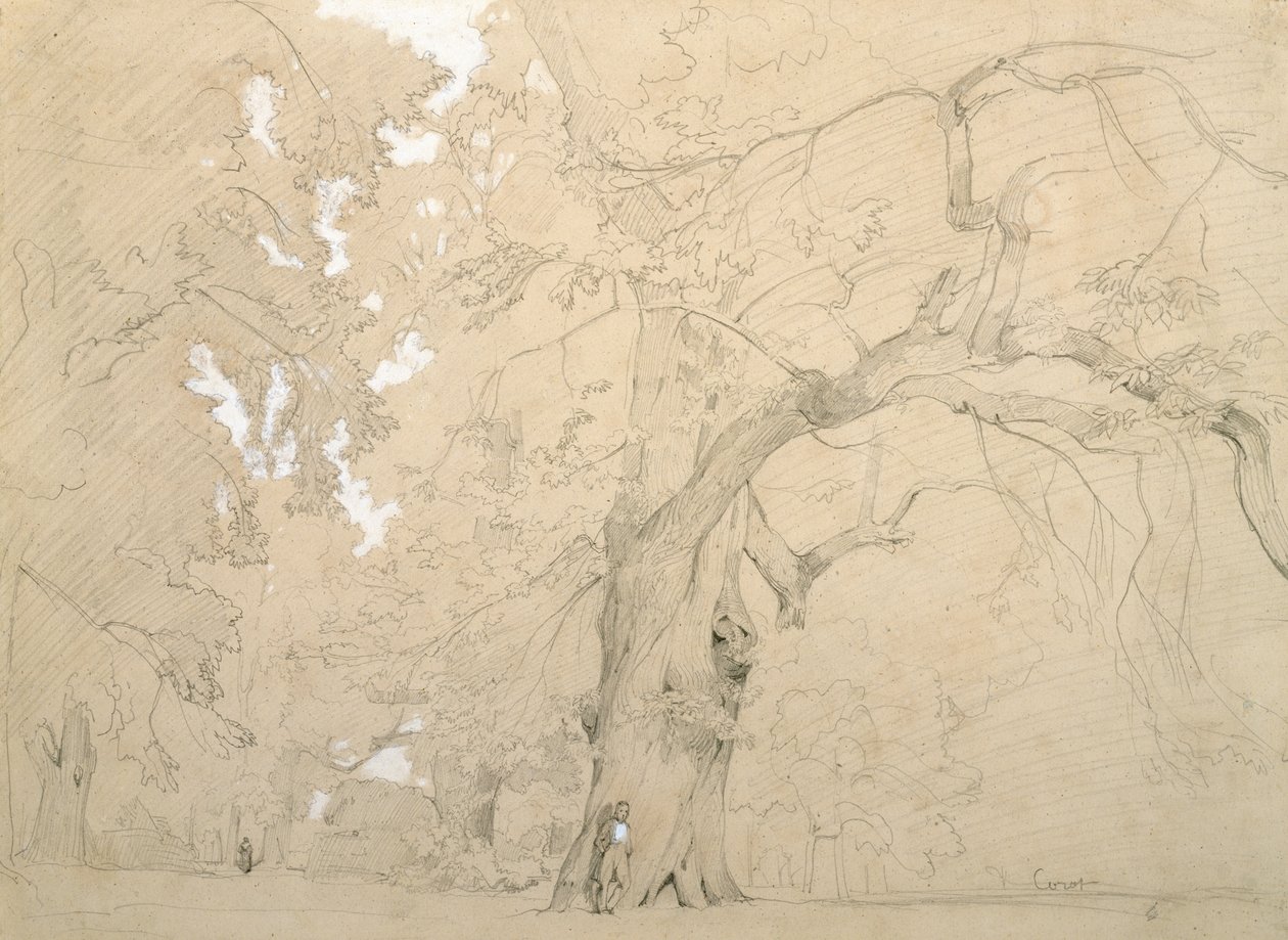 Jonge man voor een grote eik, c.1840 door Jean Baptiste Camille Corot