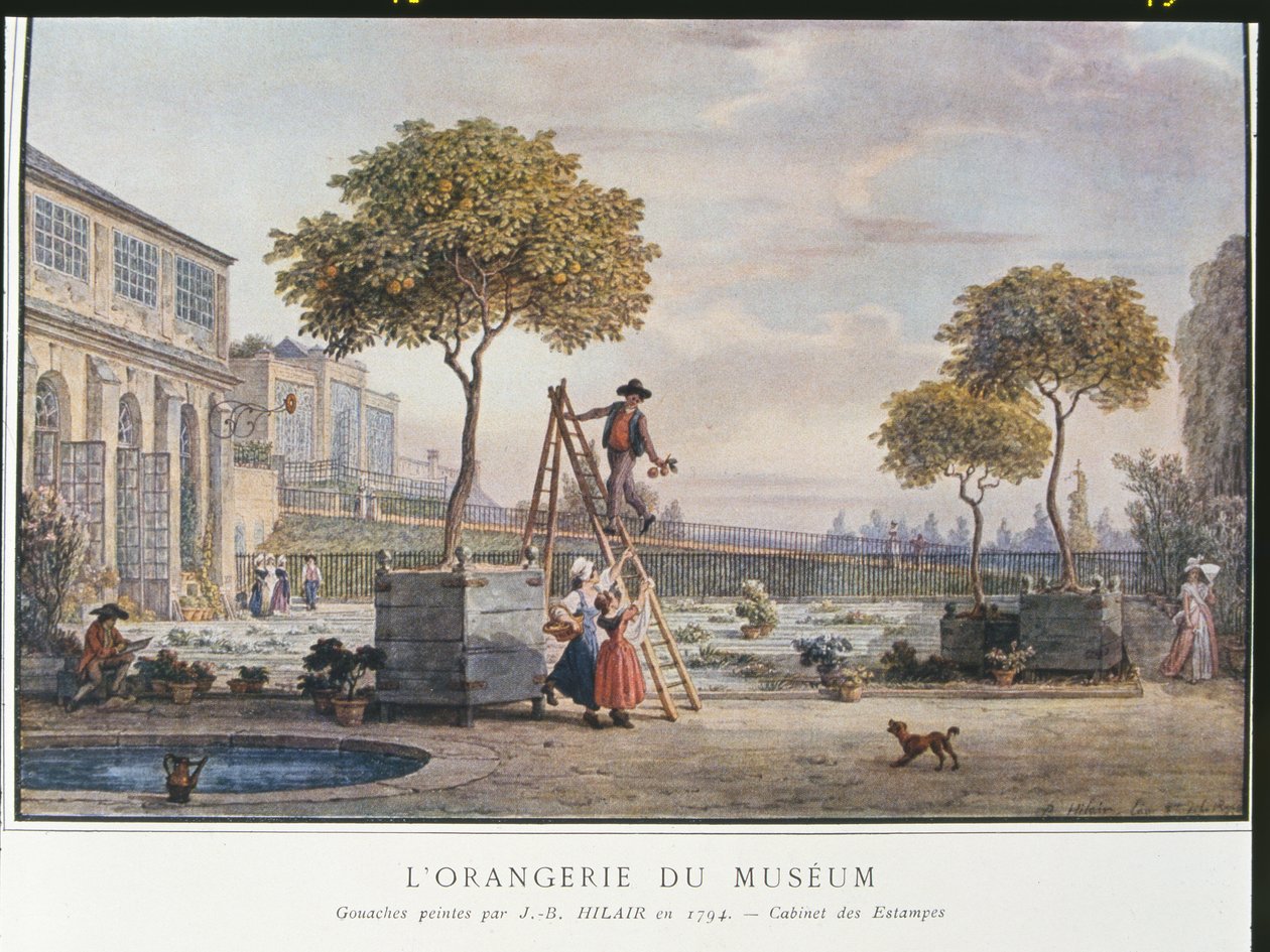 De Orangerie in het Museum in Parijs in 1794 door Jean Baptiste Hilair