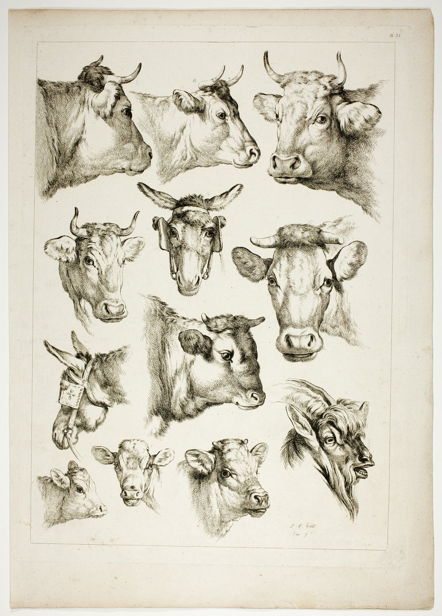 Plaat 35 van 38 uit Oeuvres de J. B. Huet door Jean Baptiste Huet