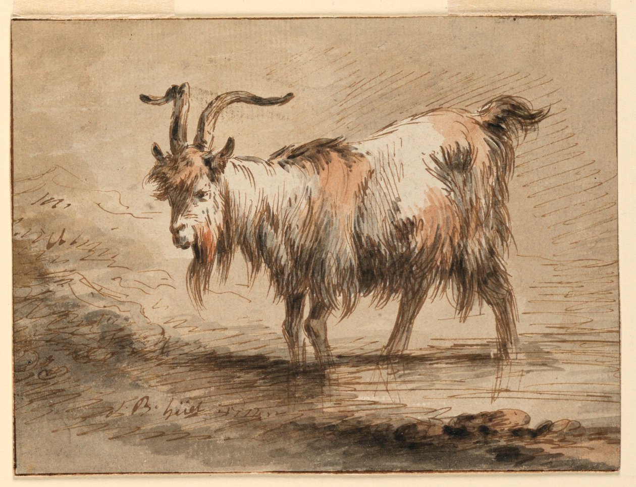 Tekening, Studie van een geit, 1772 door Jean Baptiste Huet
